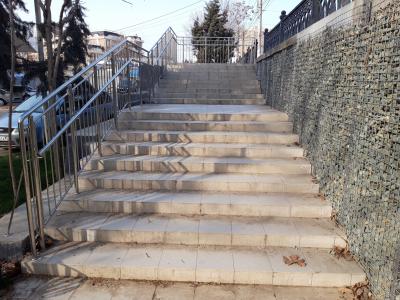 Прикрепленное изображение: лес.jpg